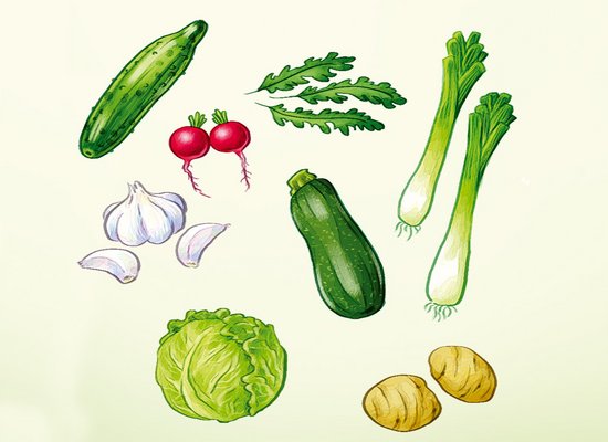Der Gemüse-Franz