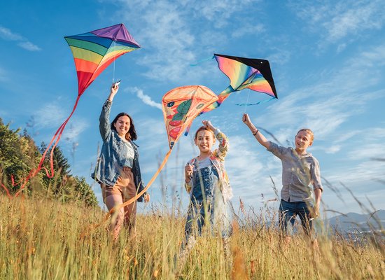 Colourful kites