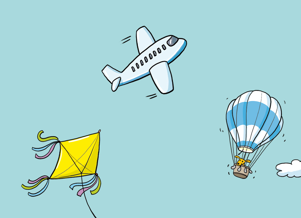 Things That Fly